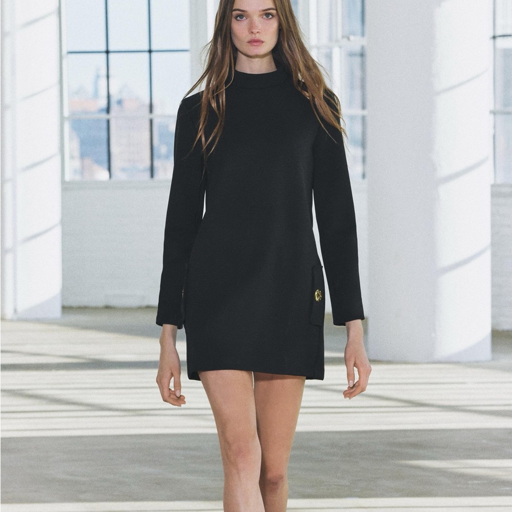 Zara Elegant Black Long Sleeve Dress with gold buttons